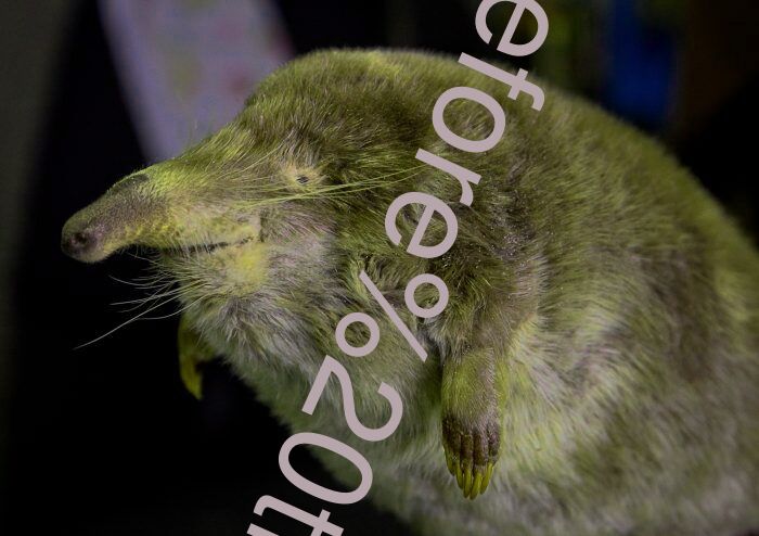 before the